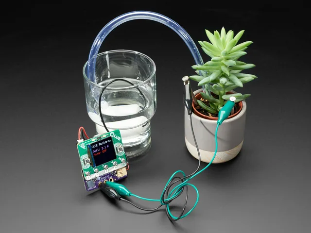 Adafruit Bonsai Buckaroo - micro:bit & CLUE Plant Care Helper