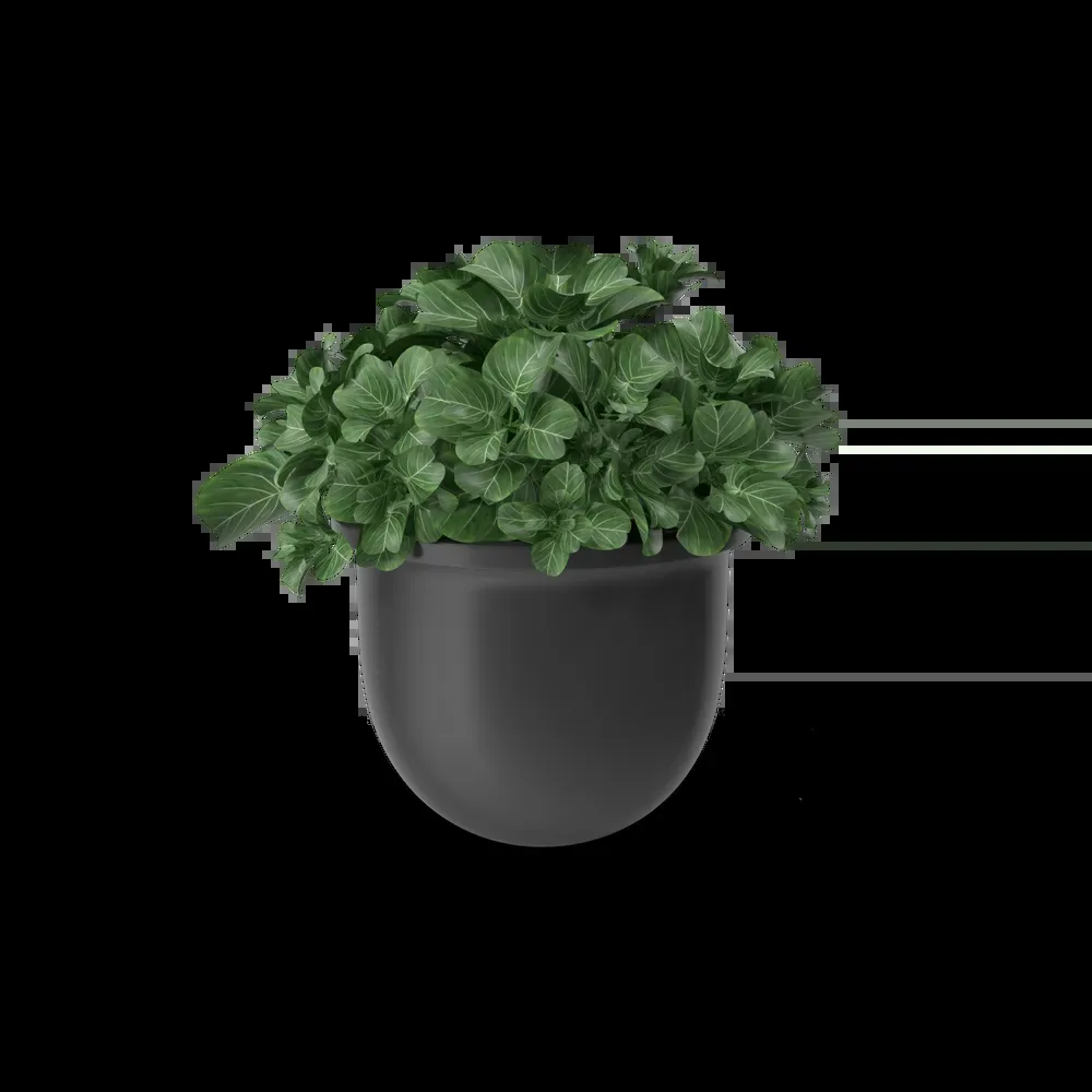 Plant Pot imagem 1
