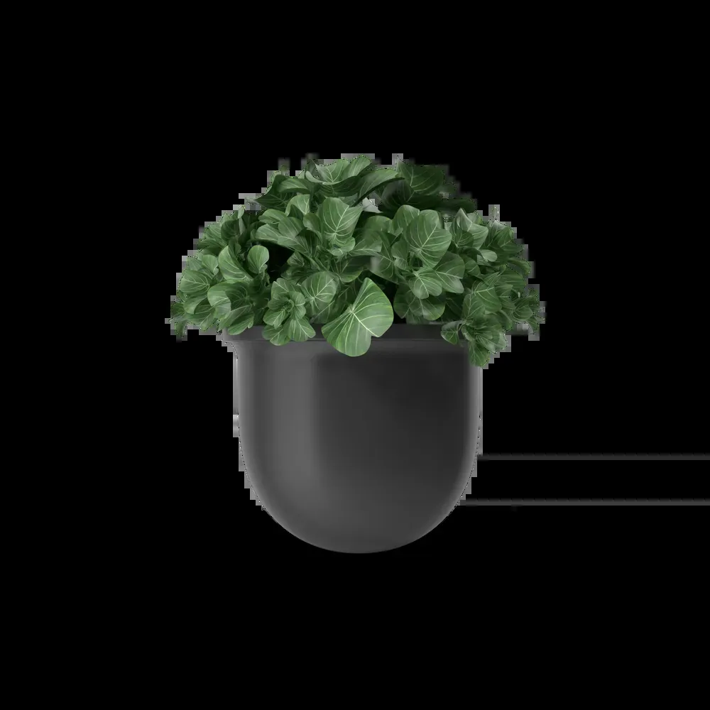 Plant Pot imagem 2